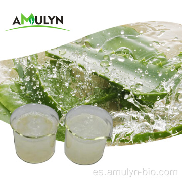 Alimentos en cubos de gel de aloe vera para bebidas gelatinosas